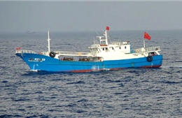 Hàn Quốc mất hơn 1 tỉ USD/năm do tàu cá &#39;chui&#39; của Trung Quốc 